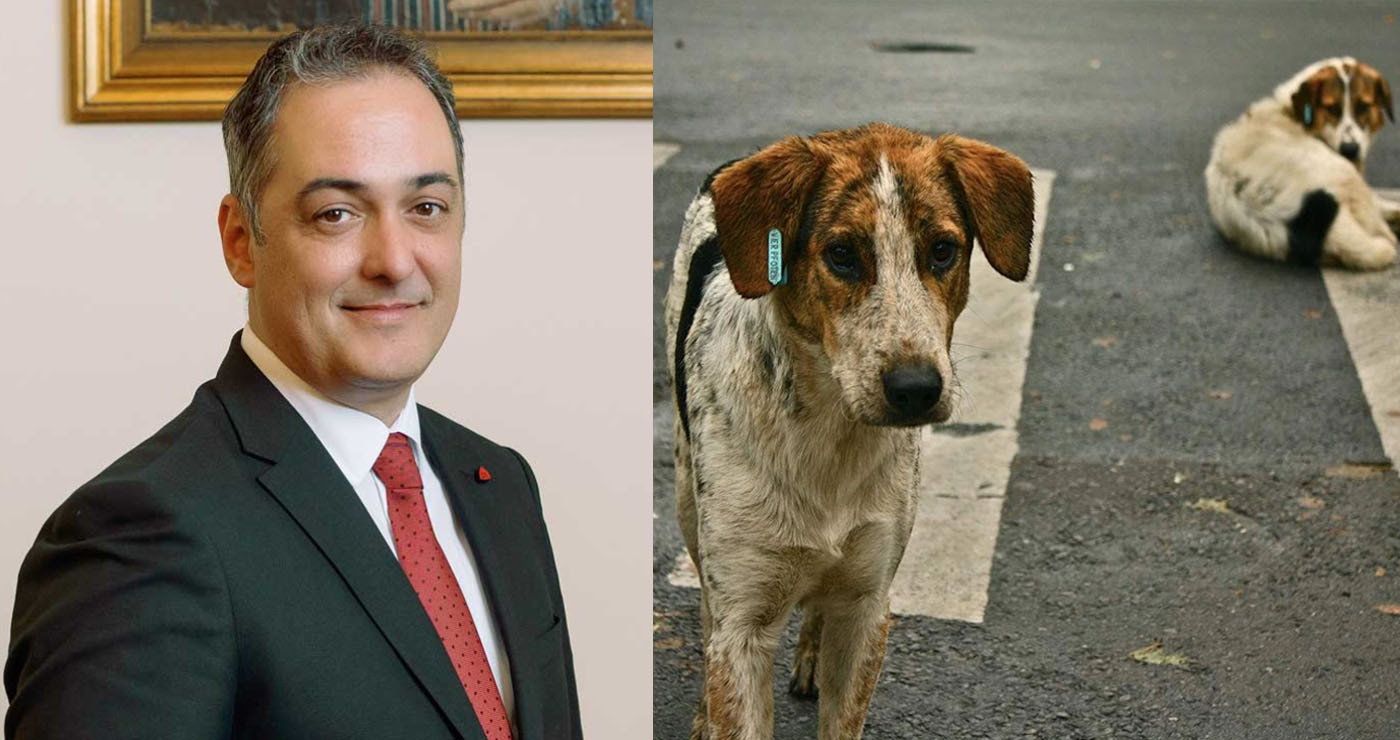 Τα αδέσποτα στον… Δήμαρχο – Ο Κοκκαλιάρης παίρνει υπό την εποπτεία του τη διαχείριση με νέο Αυτοτελές Γραφείο