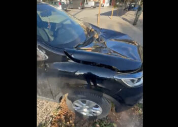 Αμύνταιο: Δέντρο έπεσε πάνω σε αυτοκίνητο προκαλώντας μεγάλη ζημιά (Βίντεο)