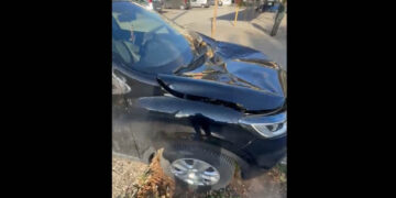 Αμύνταιο: Δέντρο έπεσε πάνω σε αυτοκίνητο προκαλώντας μεγάλη ζημιά (Βίντεο)