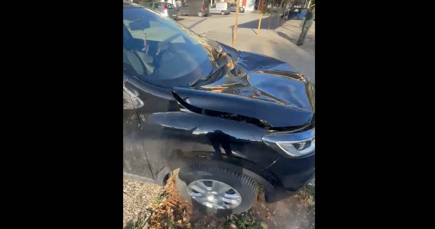 Αμύνταιο: Δέντρο έπεσε πάνω σε αυτοκίνητο προκαλώντας μεγάλη ζημιά (Βίντεο)