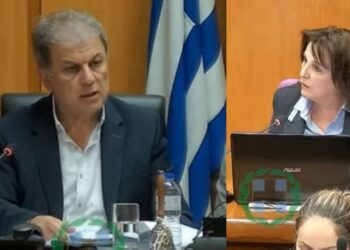 Σύγκρουση Αμανατίδη- Ζεμπιλιάδου με… παρωπίδες: «Παίζω το παιχνίδι της Δυτικής Μακεδονίας- «Καλύπτεις την κυβέρνηση…»