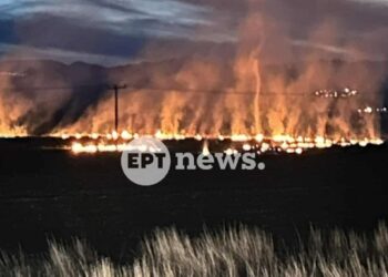 Καστοριά: Πυρκαγιά έξω από το Άργος Ορεστικό, κοντά στο πεδίο βολής