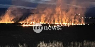 Καστοριά: Πυρκαγιά έξω από το Άργος Ορεστικό, κοντά στο πεδίο βολής