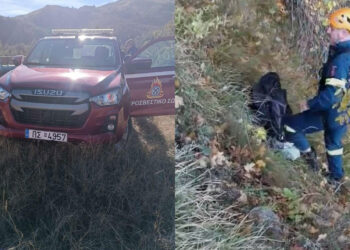 Εορδαία: Αίσιο τέλος είχε η περιπέτεια δύο κυνηγετικών σκύλων – Τους απεγκλώβισε η Πυροσβεστική στους Πύργους