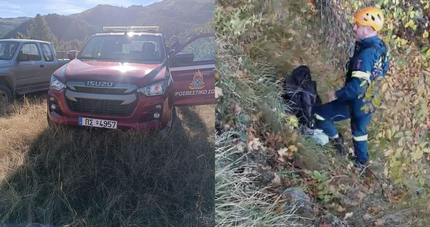 Εορδαία: Αίσιο τέλος είχε η περιπέτεια δύο κυνηγετικών σκύλων – Τους απεγκλώβισε η Πυροσβεστική στους Πύργους