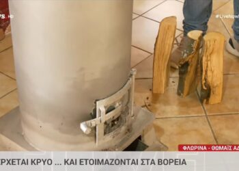 Φλώρινα – Προέδρος Δροσοπηγής: “Θέλουμε 20 τόνους ξύλα για να ζεσταθούμε το χειμώνα”