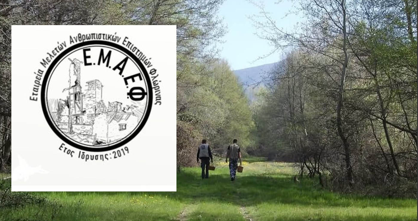 Φλώρινα: Ημερίδα για τον «θησαυρό» των μανιταριών με γεύσεις και μυστικά