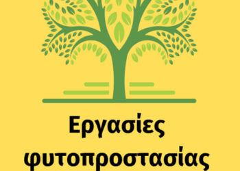 Εργασίες φυτοπροστασίας σε δέντρα στο Δήμο Κοζάνης