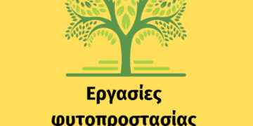 Εργασίες φυτοπροστασίας σε δέντρα στο Δήμο Κοζάνης
