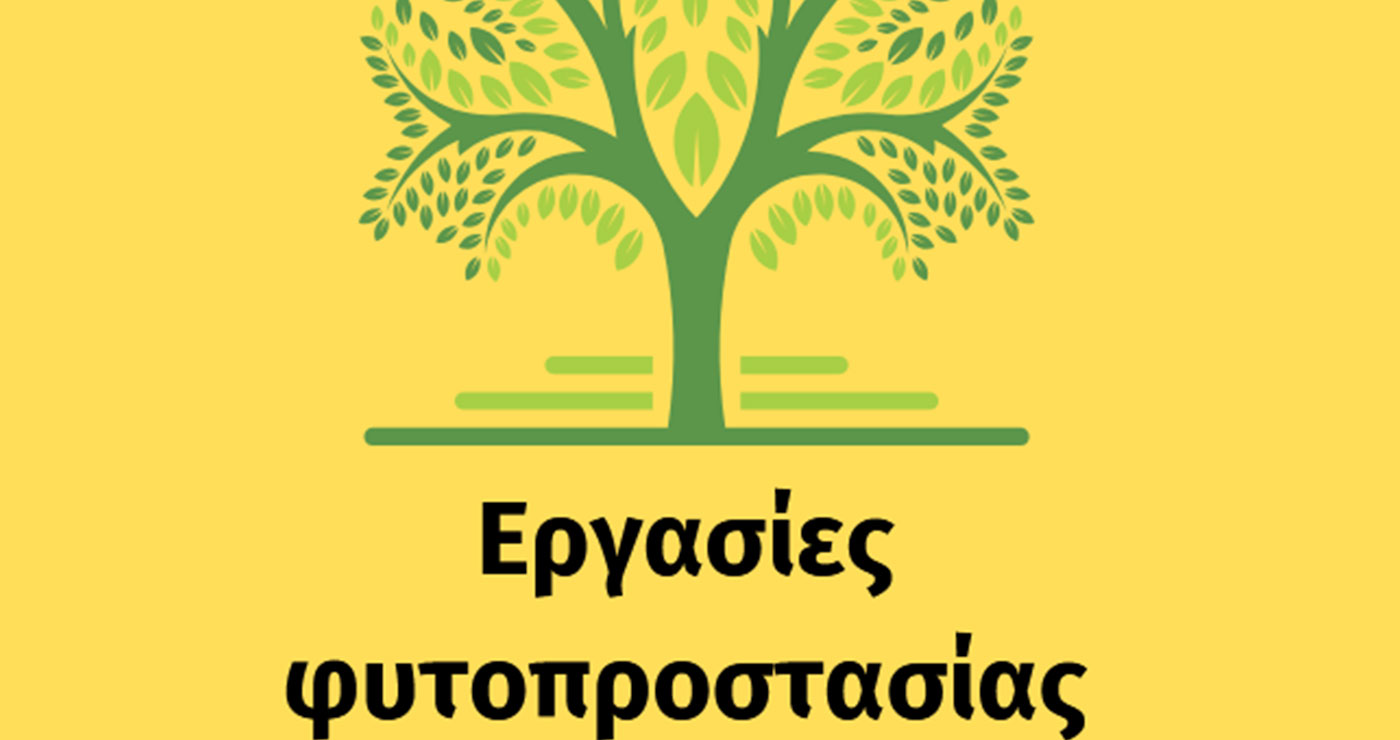 Εργασίες φυτοπροστασίας σε δέντρα στο Δήμο Κοζάνης