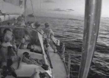 ΥΠΕΞ για «Global Sumud Flotilla»: “Καλά στην υγεία τους οι 27 Έλληνες” – Σε αυτούς και η Π. Πέρκα