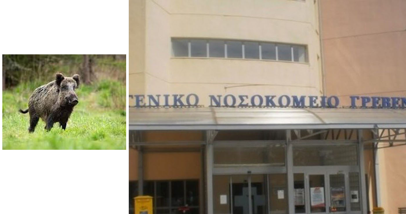 Άτυχος κυνηγός από τη Δεσκάτη δέχθηκε επίθεση από αγριογούρουνο