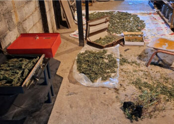 Φλώρινα: 41χρονος έκρυβε στο σπίτι του πάνω από 3 κιλά κάνναβης – Συνελήφθη για κατοχή