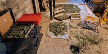 Φλώρινα: 41χρονος έκρυβε στο σπίτι του πάνω από 3 κιλά κάνναβης – Συνελήφθη για κατοχή