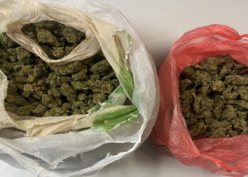 Φλώρινα 19χρονος παρέλαβε πακέτο με 716 γρ. κάνναβης από μεταφορική – Συνελήφθησαν ανήλικος και 18χρονος