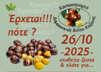 Δαμασκηνιά: Στις 26 Οκτωβρίου η μεγάλη καστανογιορτή με δωρεάν κάστανα και άφθονο κρασί