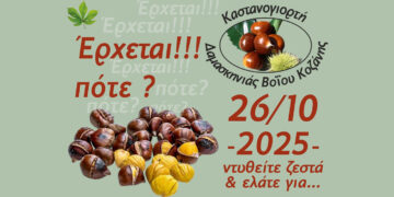 Δαμασκηνιά: Στις 26 Οκτωβρίου η μεγάλη καστανογιορτή με δωρεάν κάστανα και άφθονο κρασί