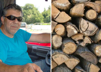 Εορδαία: Ξεκίνησε η ζήτηση για καυσόξυλα και πέλλετ – Που κυμαίνονται οι τιμές