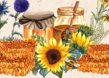 Κοζάνη: Επιστρέφει η 9η Γιορτή Μελιού στην Κεντρική Πλατεία