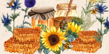 Κοζάνη: Επιστρέφει η 9η Γιορτή Μελιού στην Κεντρική Πλατεία