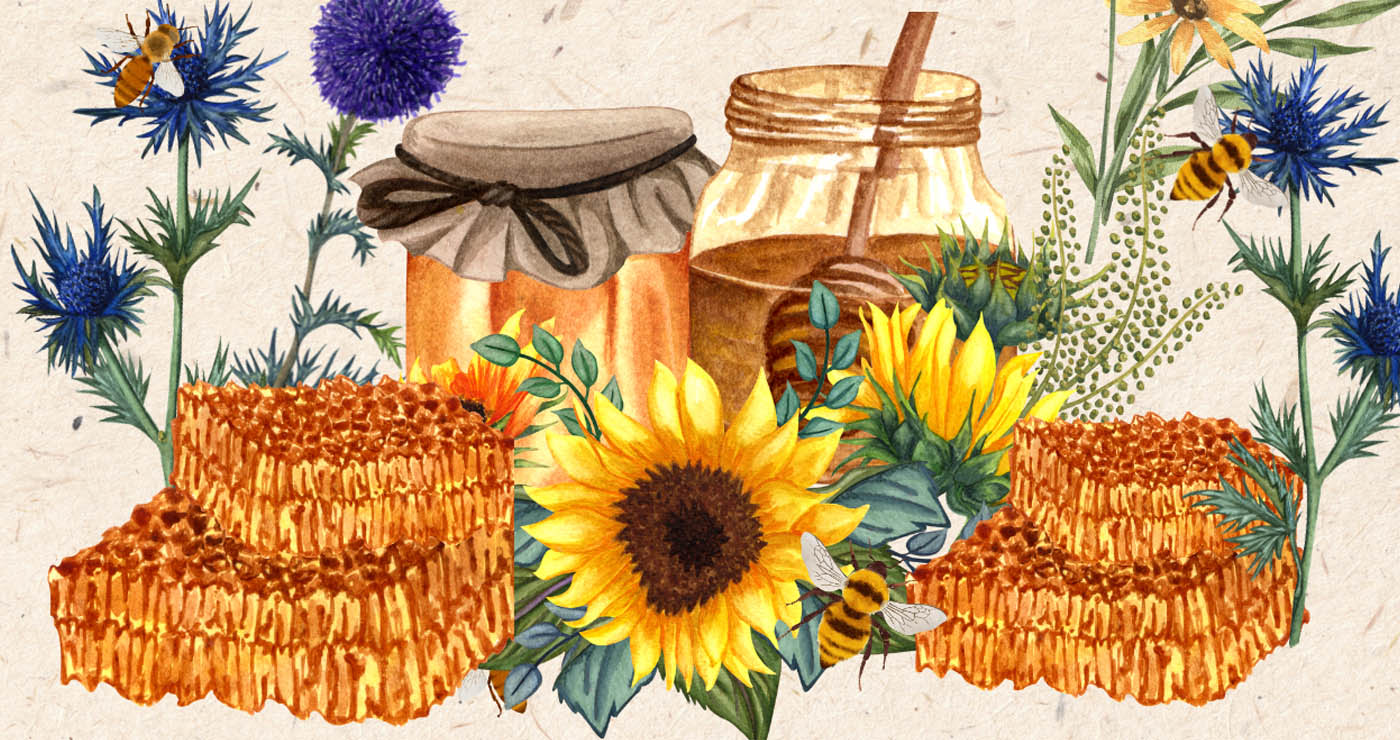 Κοζάνη: Επιστρέφει η 9η Γιορτή Μελιού στην Κεντρική Πλατεία