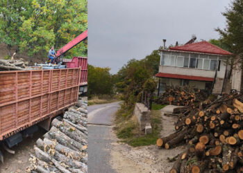 Διπλάσια ποσότητα καυσόξυλων στους κατοίκους του Μεταξά Σερβίων