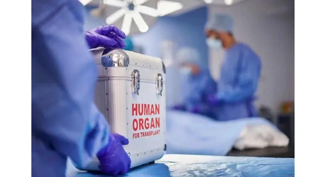 Κατά 42% αυξήθηκαν οι δωρητές οργάνων σε δέκα μέρες