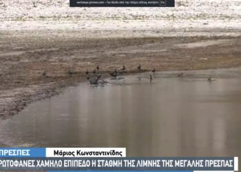 Σε δραματικά χαμηλό επίπεδο η στάθμη της Μεγάλης Πρέσπας- Οι επιπτώσεις σε ψαράδες και τουρισμό