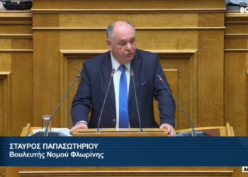 Στ. Παπασωτηρίου: Χαμός στη Βουλή με τη φράση “ηλίθια ψέματα” σε ομιλία του – Τη διαγραφή της από τα πρακτικά ζήτησε ο προεδρεύων