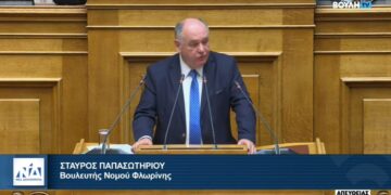 Στ. Παπασωτηρίου: Χαμός στη Βουλή με τη φράση “ηλίθια ψέματα” σε ομιλία του – Τη διαγραφή της από τα πρακτικά ζήτησε ο προεδρεύων