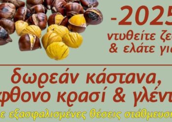 Ένα αφιέρωμα στην Καστανογιορτή Δαμασκηνιά, με πολλά ψητά κάστανα και ανακοίνωση για την εκδήλωση.