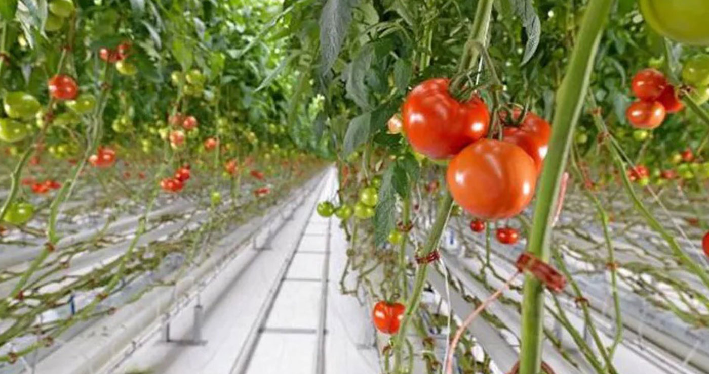 Στο ΒΙΟΠΑ ( ; ) η επένδυση υδροπονίας που εγκρίθηκε από την ΕΕ