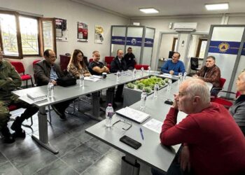 Μια ομάδα ανθρώπων συνεδριάζει σε ένα φωτεινό δωμάτιο στο Δημαρχείο Φλώρινας για να συζητήσουν τις ετοιμασίες για τις επερχόμενες χιονοπτώσεις στη Φλώρινα.