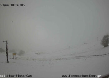 Χιόνια στη Βασιλίτσα το βράδυ του Σαββάτου – Η περιοχή ντύθηκε στα λευκά (Ζωντανή εικόνα)