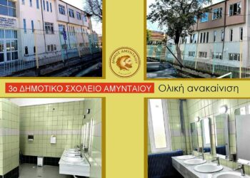Το ανακαινισμένο 3ο Δημοτικό Σχολείο Αμυνταίου παρουσιάζει μια σύγχρονη και φιλόξενη εικόνα, ενώ οι νέοι χώροι υγιεινής προσφέρουν άνεση και καθαριότητα στους μαθητές, συμβάλλοντας στην αναβάθμιση σχολικών κτιρίων.