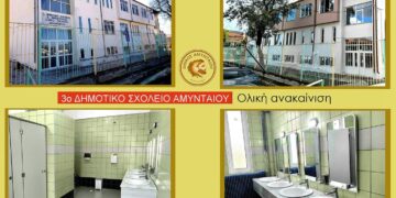 Το ανακαινισμένο 3ο Δημοτικό Σχολείο Αμυνταίου παρουσιάζει μια σύγχρονη και φιλόξενη εικόνα, ενώ οι νέοι χώροι υγιεινής προσφέρουν άνεση και καθαριότητα στους μαθητές, συμβάλλοντας στην αναβάθμιση σχολικών κτιρίων.