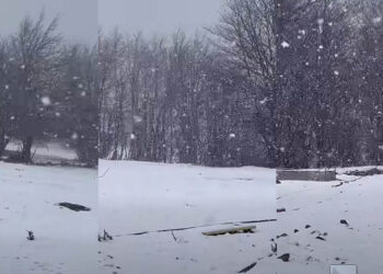 Χιονόπτωση στη Βασιλίτσα: Εντυπωσιακές εικόνες από το χιονοδρομικό σήμερα