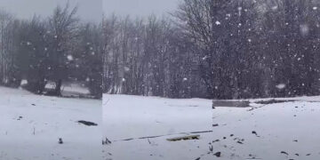 Χιονόπτωση στη Βασιλίτσα: Εντυπωσιακές εικόνες από το χιονοδρομικό σήμερα