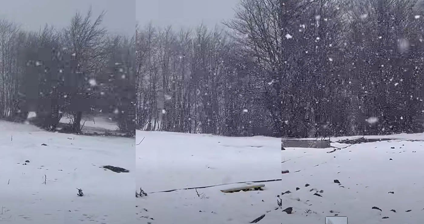 Χιονόπτωση στη Βασιλίτσα: Εντυπωσιακές εικόνες από το χιονοδρομικό σήμερα