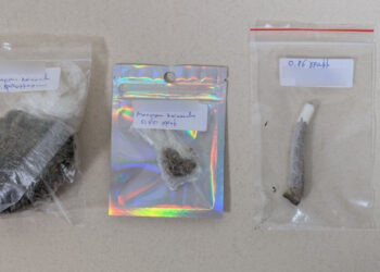 BONGO εν δράσει στην Πτολεμαΐδα: Ο αστυνομικός σκύλος οδήγησε στον εντοπισμό κάνναβης και τη σύλληψη 60χρονου