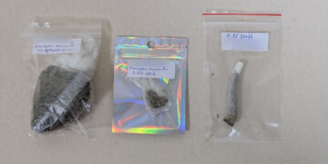 BONGO εν δράσει στην Πτολεμαΐδα: Ο αστυνομικός σκύλος οδήγησε στον εντοπισμό κάνναβης και τη σύλληψη 60χρονου