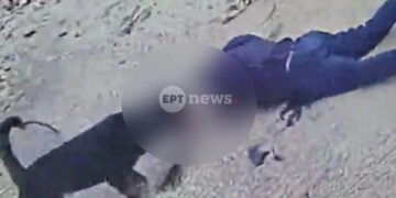 Μάχη για τη ζωή του δίνει 76χρονος που του επιτέθηκε ροτβάιλερ