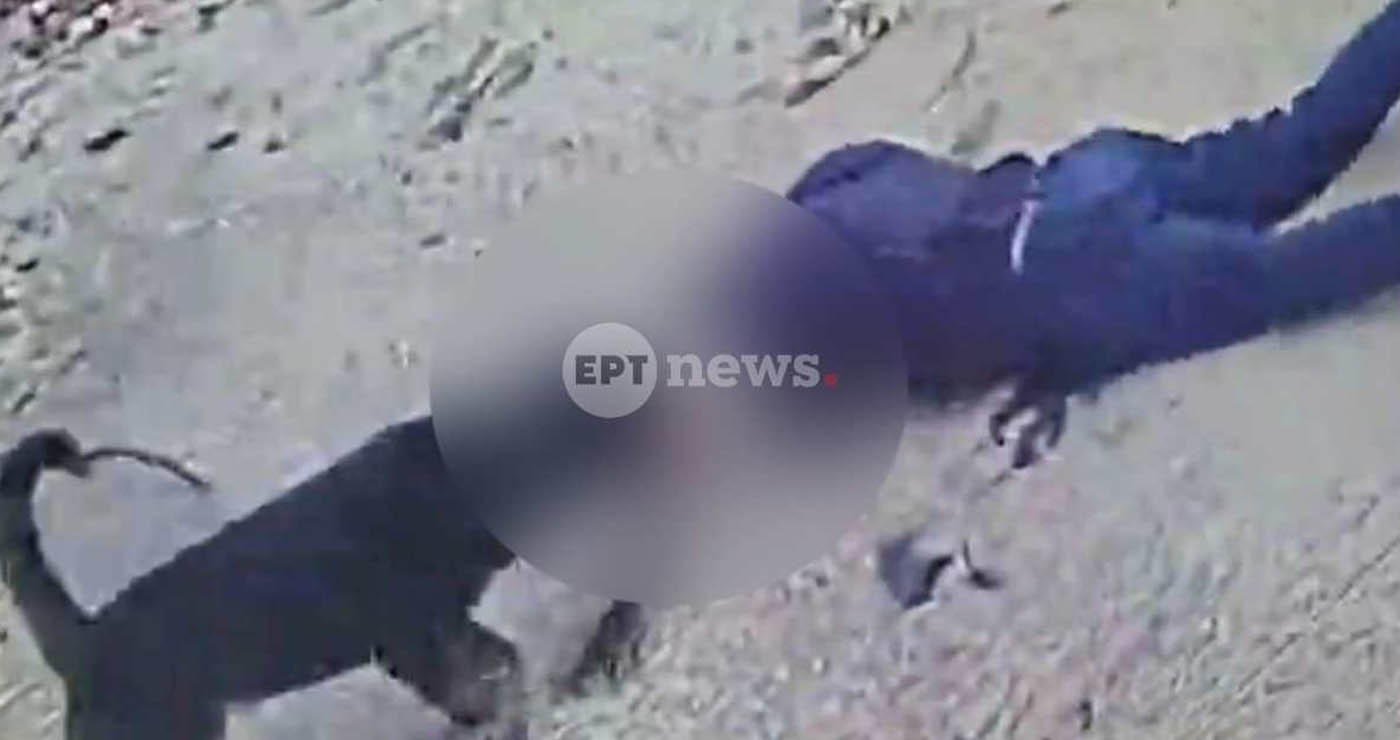 Μάχη για τη ζωή του δίνει 76χρονος που του επιτέθηκε ροτβάιλερ