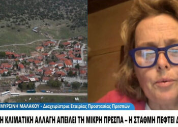 Πρέσπες: Μειώνεται δραματικά η στάθμη του νέρου – Οι συνέπειες και η κλιματική αλλαγή