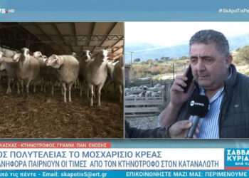 Είδος πολυτελείας το μοσχαρίσιο κρέας – Την ανηφόρα παίρνουν οι τιμές