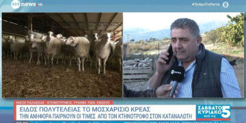 Είδος πολυτελείας το μοσχαρίσιο κρέας – Την ανηφόρα παίρνουν οι τιμές