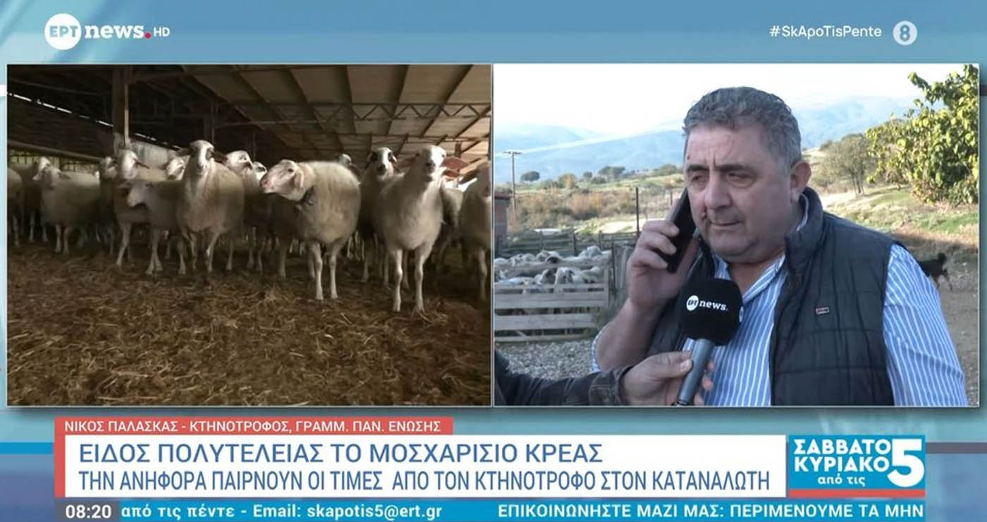 Είδος πολυτελείας το μοσχαρίσιο κρέας – Την ανηφόρα παίρνουν οι τιμές