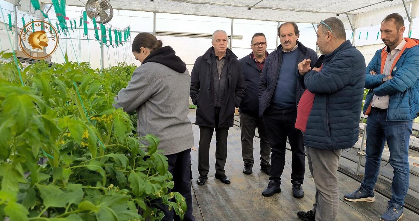 Μια γυναίκα επιθεωρεί τις ντομάτες σε ένα από τα γεωθερμικά θερμοκήπια στο Αμύνταιο, ενώ άνδρες συζητούν δίπλα της.