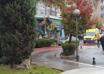Συνιστάται η προσοχή των οδηγών για την ανεμπόδιστη διέλευση των ασθενοφόρων (της Κούλας Πουλασιχίδου )