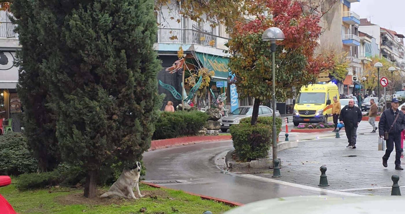 Συνιστάται η προσοχή των οδηγών για την ανεμπόδιστη διέλευση των ασθενοφόρων (της Κούλας Πουλασιχίδου )